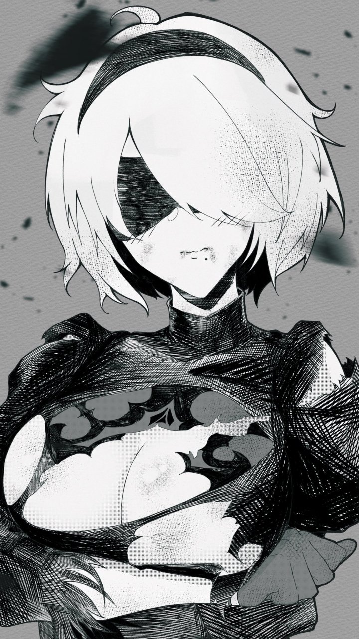尼尔 机械纪元 2b