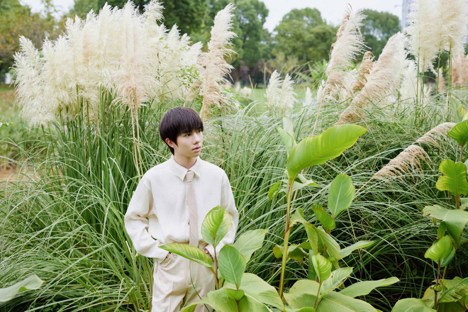 李俊濠户外秋意大片也太可了吧, 身穿一件白色的衬衫简约帅气, 休闲