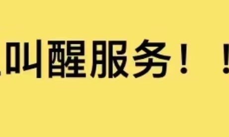 人工叫醒服务,电话,vx ,qq都行价格可商量