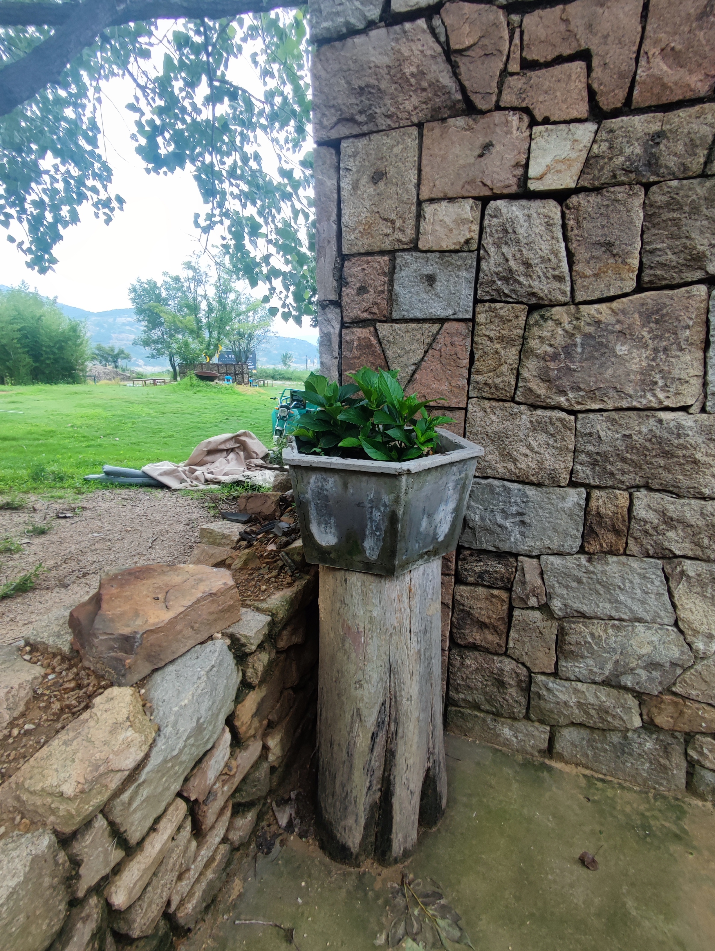 《再游*凤凰措》 夏伏日,渡虚窗,倦了流光 风轻云淡,总牵肠,遨兄寻