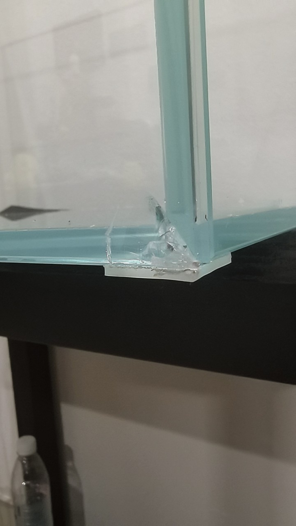 有没有行家给点意见是扔了还是可以继续用?#鱼缸