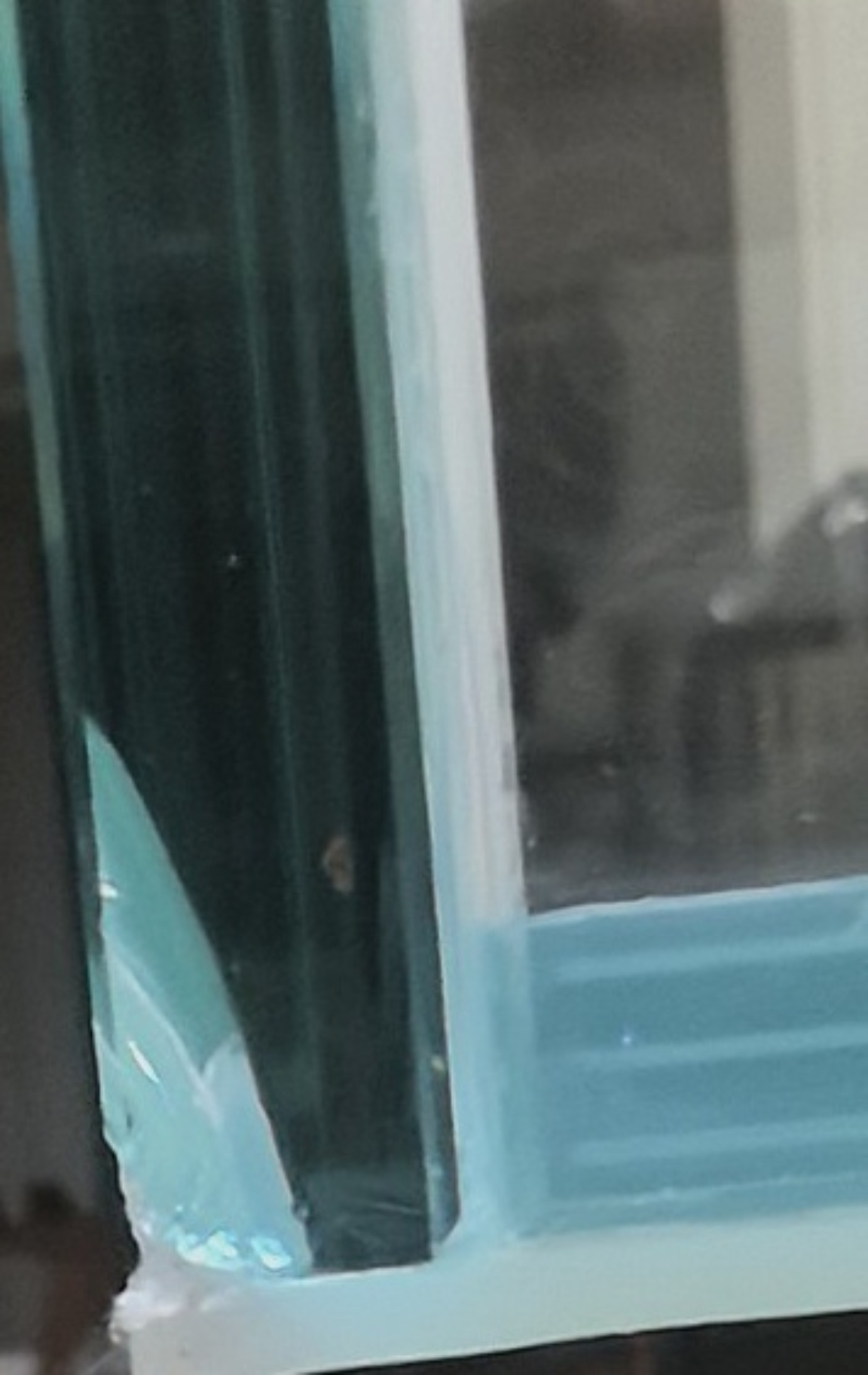 有没有行家给点意见是扔了还是可以继续用?#鱼缸