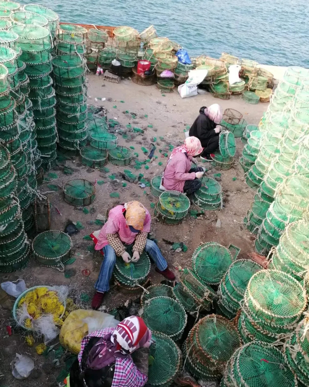 上当的海螺 海边大坝上堆集着成百上千的网笼