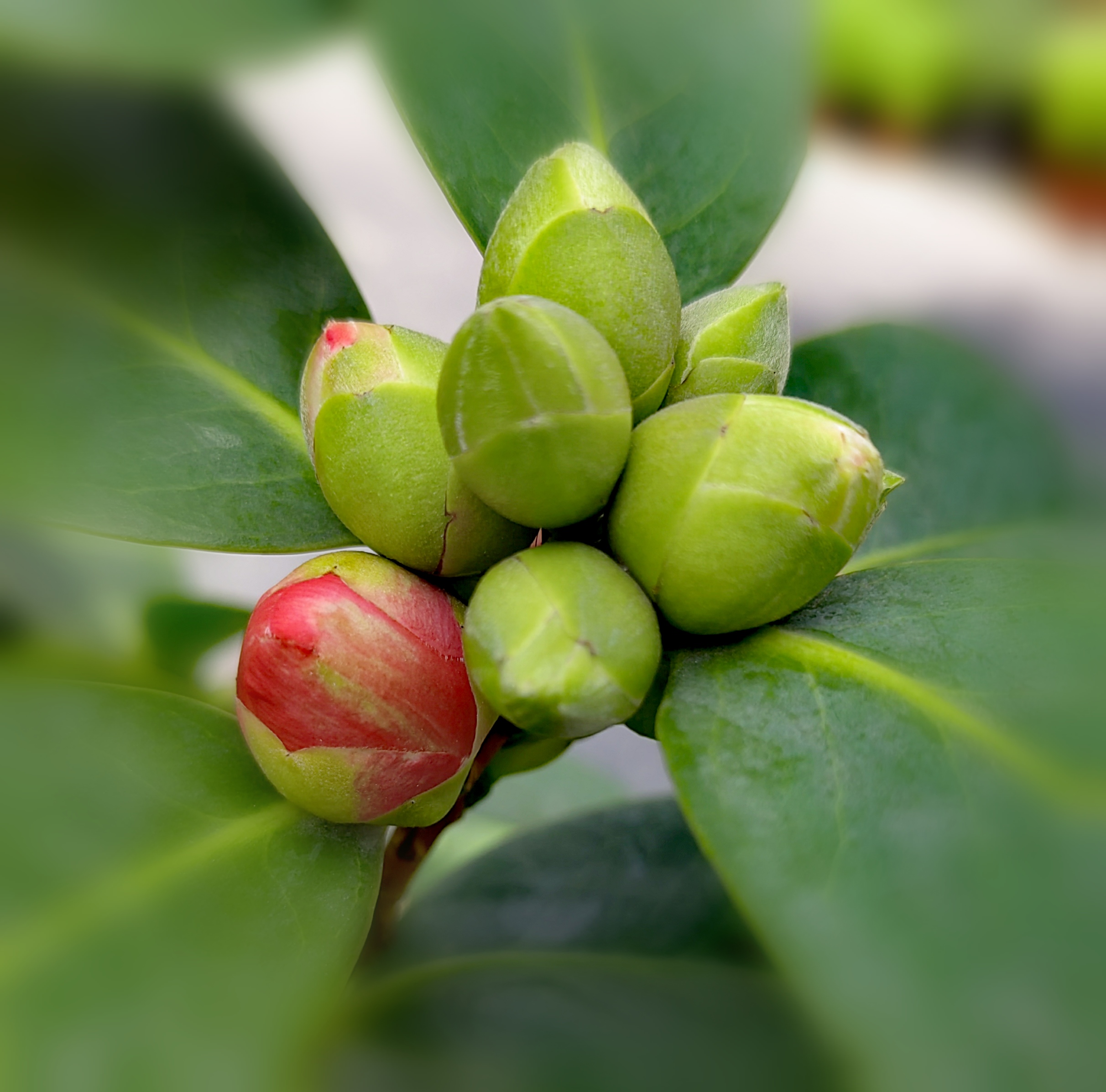 夏之绚烂悄然隐退,时光的河流潺潺向前,我于这温柔缱