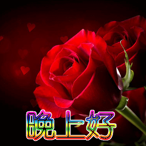 好最新图片晚上好图片最新图片高雅晚上好唯美图片晚上好各种图片大全