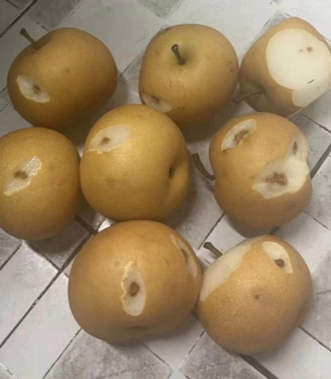 在网上买了一箱梨,今天朋友来,想洗给她吃,打开包装一看 这梨怎么这样