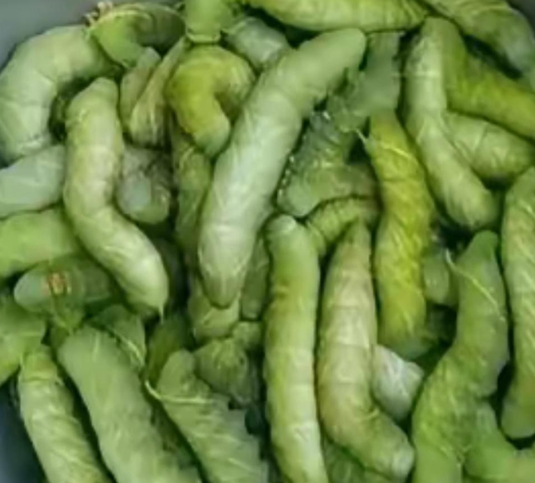 大姐介绍说,这种虫子名为"豆虫",富含高蛋白