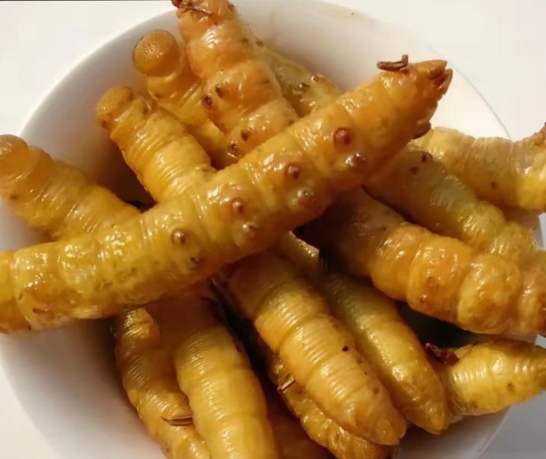 大姐介绍说,这种虫子名为"豆虫",富含高蛋白