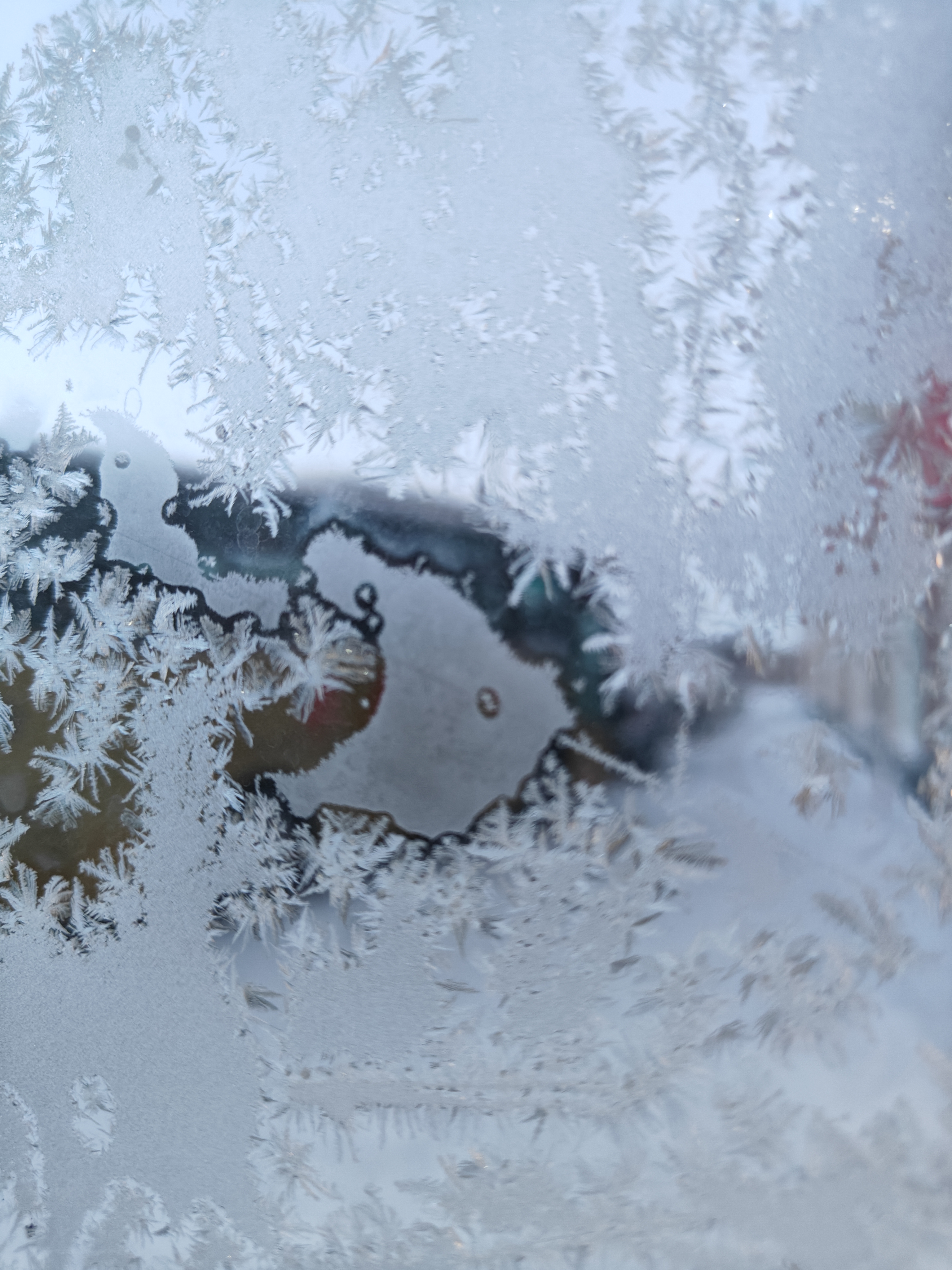 窗花 冬日奇观!被雪覆盖的冰纹理,仿佛是大自然的艺术画廊.