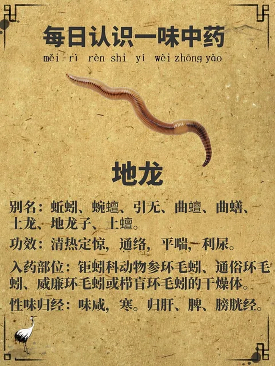 地龙,是世界上最厉害的龙