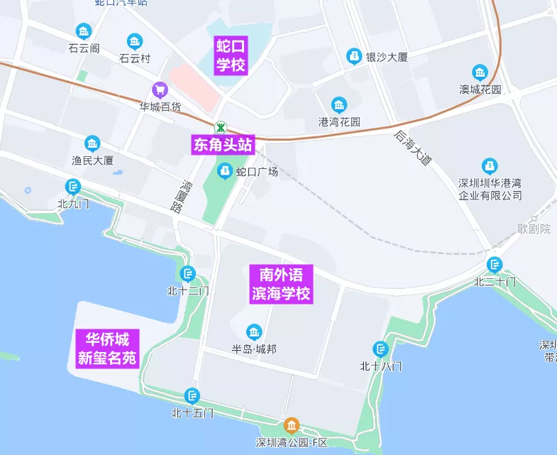 蛇口街道地图图片