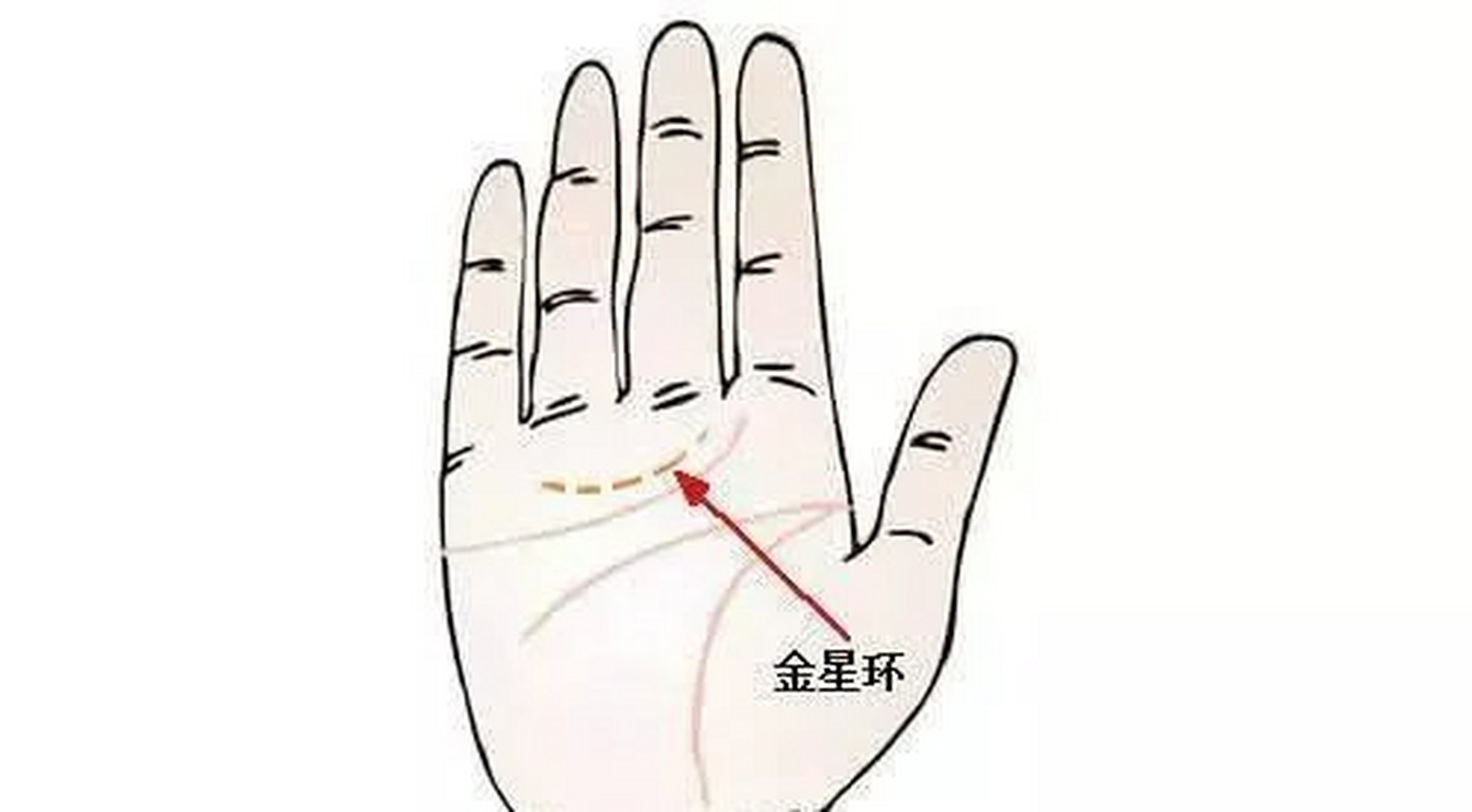 一个人的手相中如果中指下方有