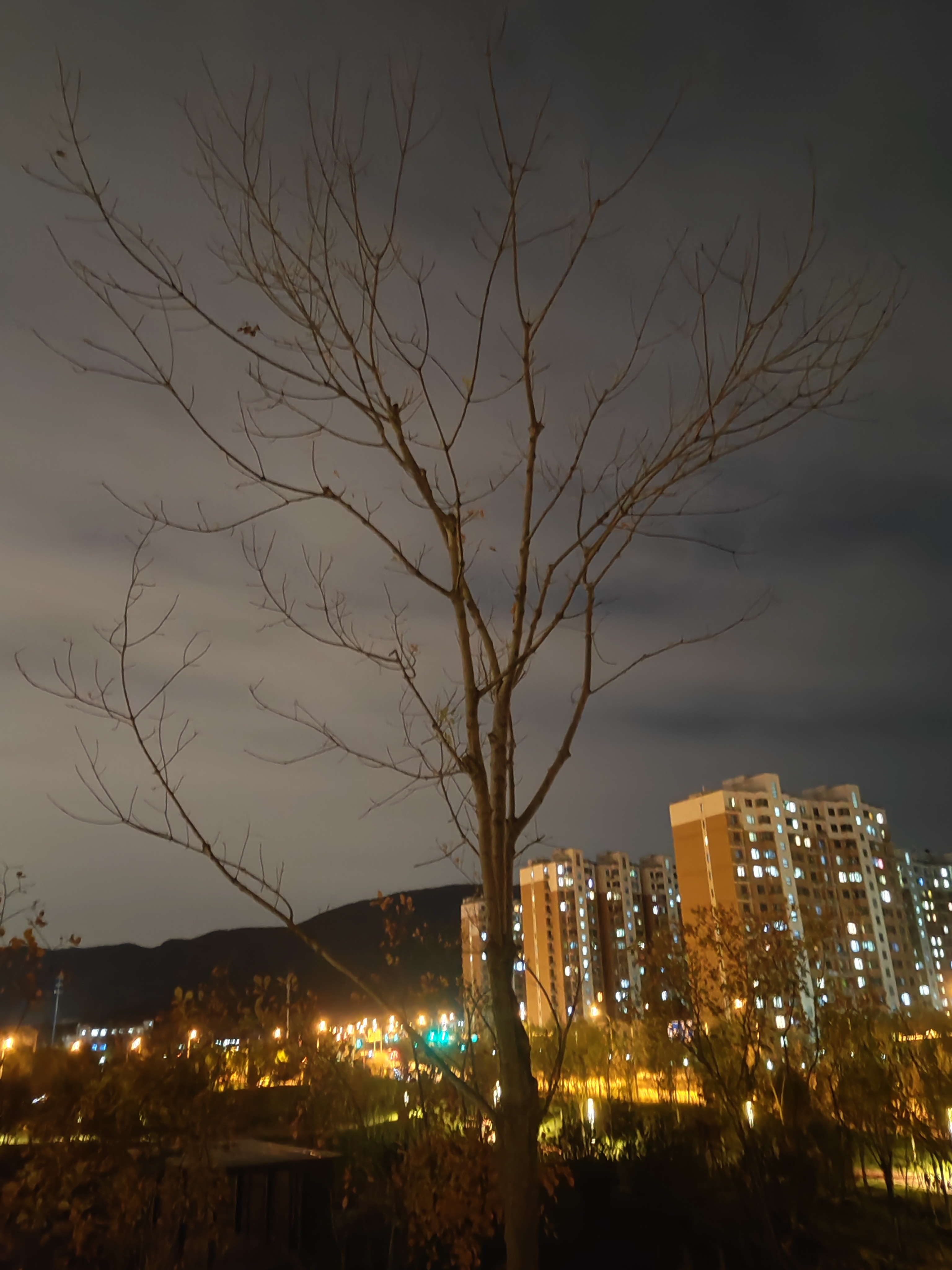 冬天夜景实拍图片