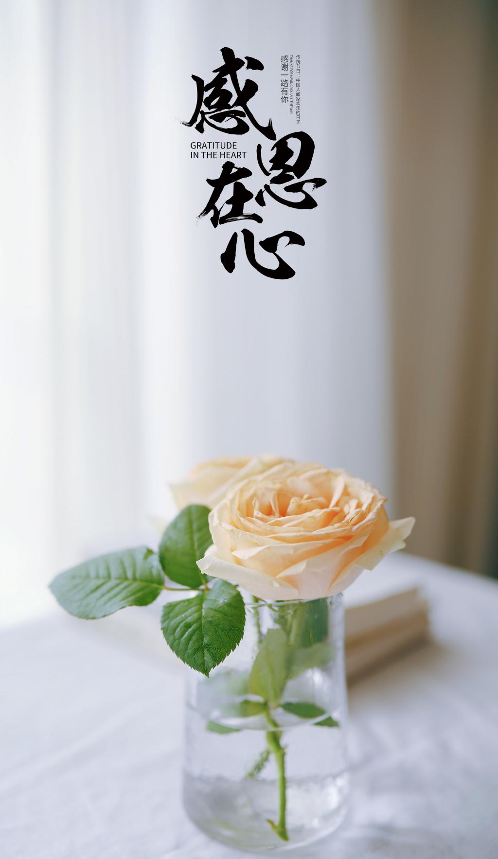 那些不图回报默默帮助你对你好的亲戚朋友你又如何会不被感动而感恩?
