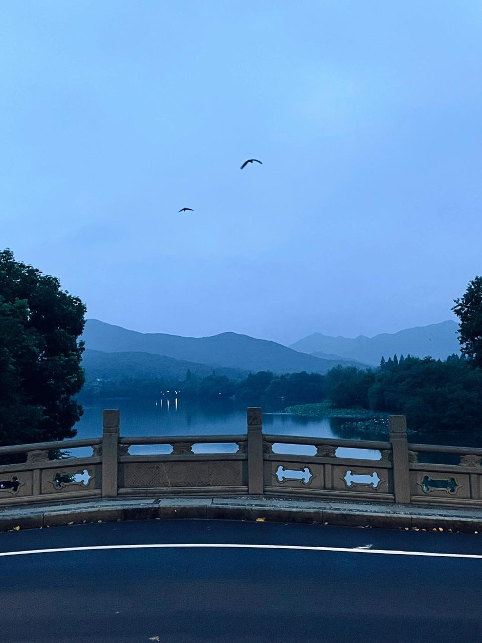 清晨的杭州西湖,空气中弥漫着清新的气息,湖面在阳光的照耀下显得更加