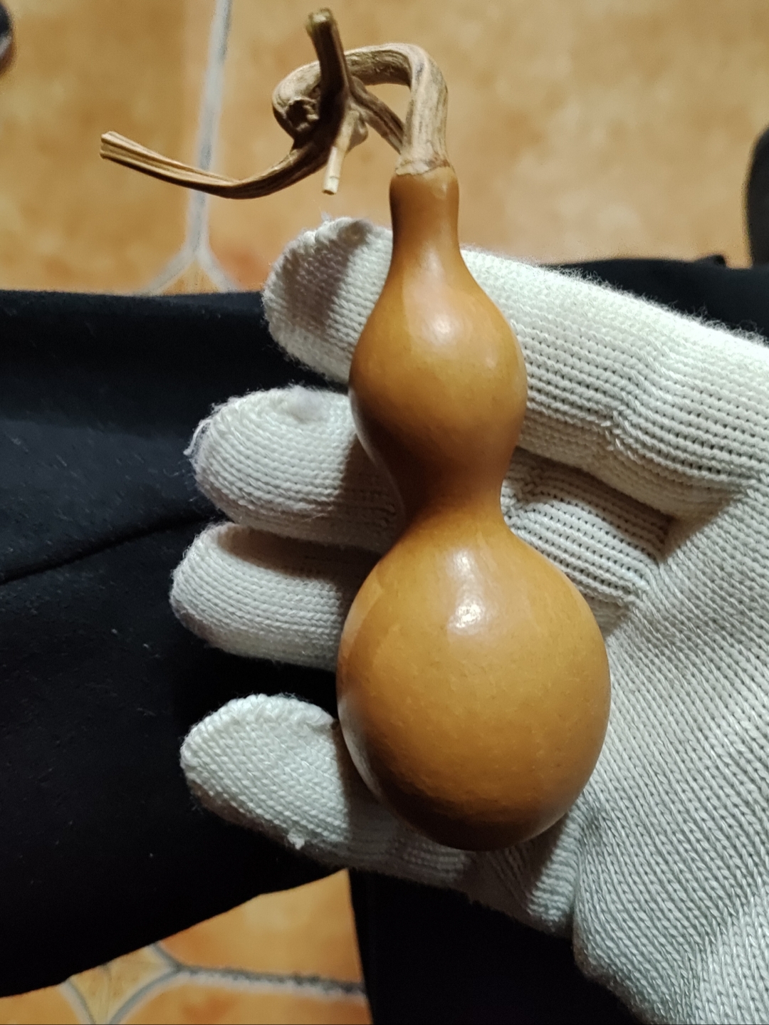 "葫芦,一个黄色的长条形,绿色的叶子相衬,仿佛是自然界的礼物.