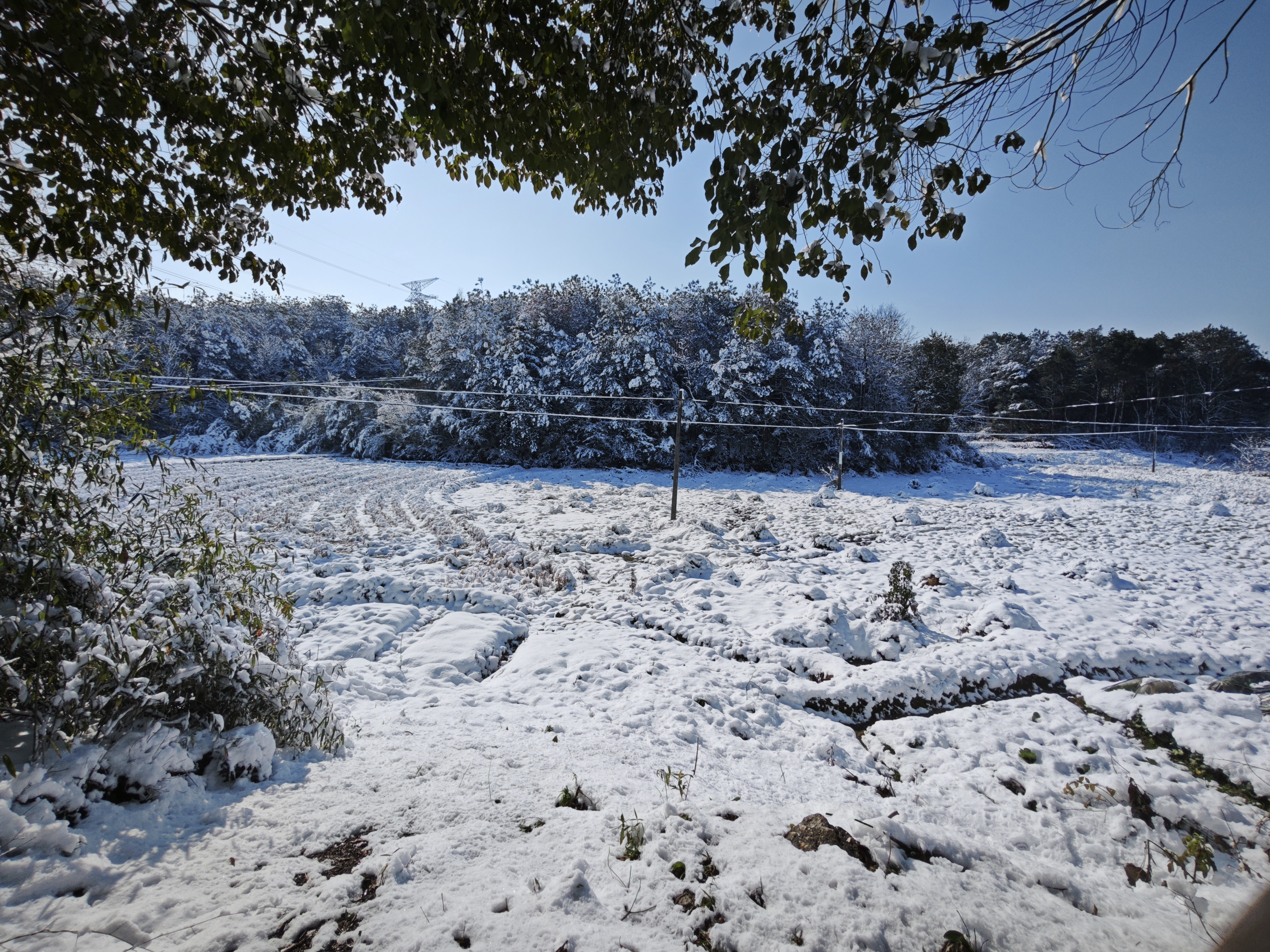 义乌上溪大草坪下雪图片