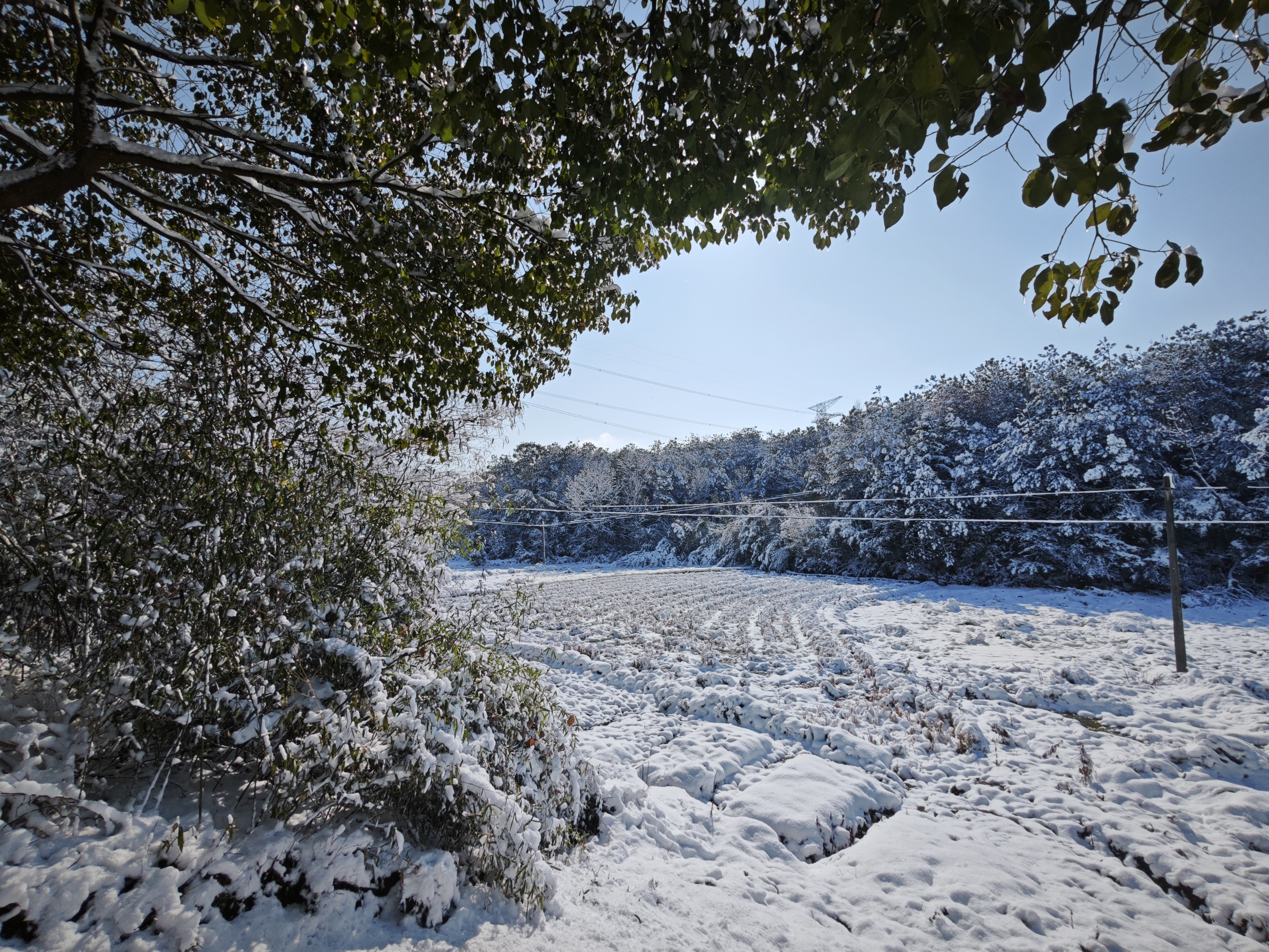 义乌上溪大草坪下雪图片