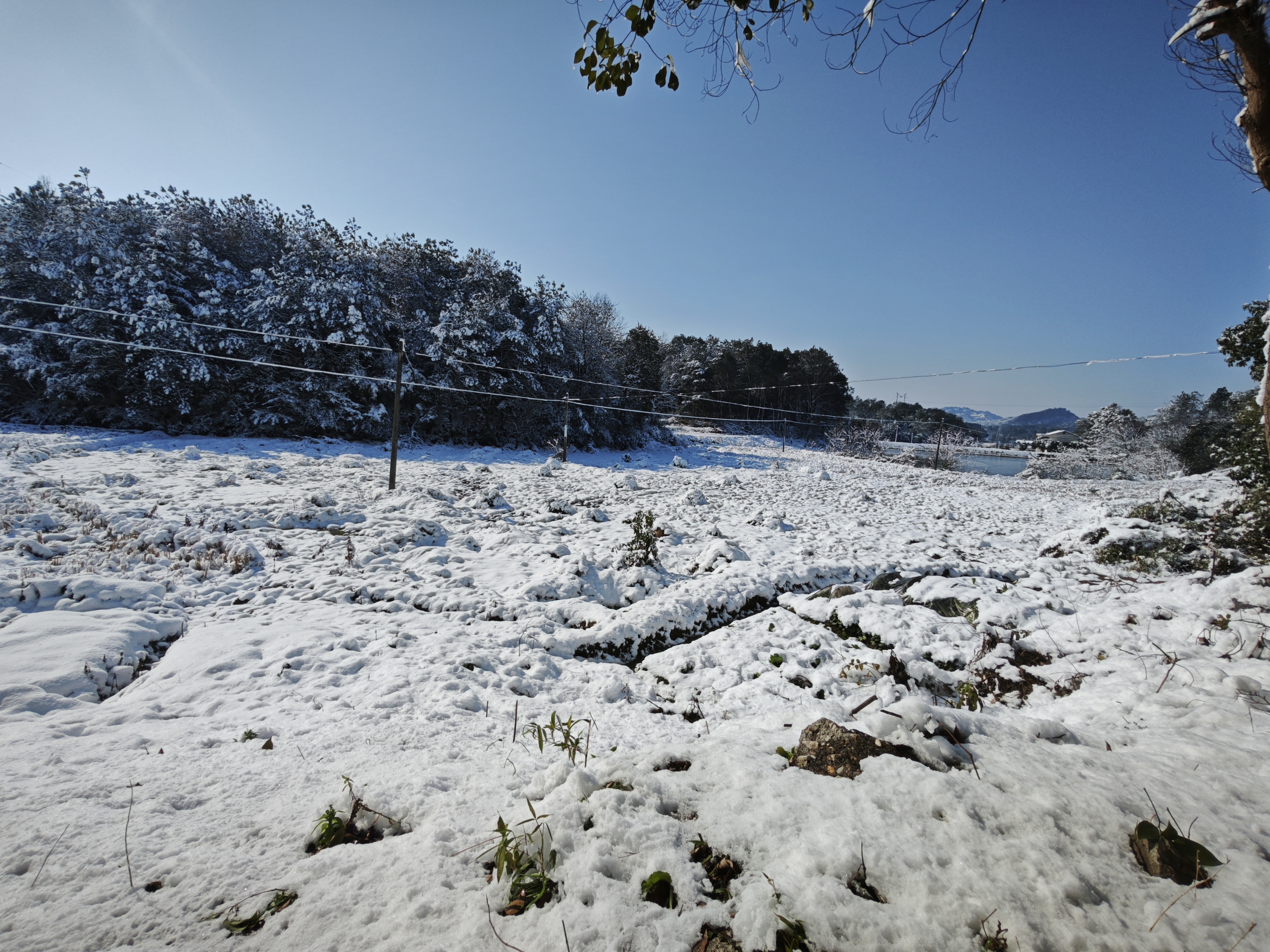 义乌上溪大草坪下雪图片