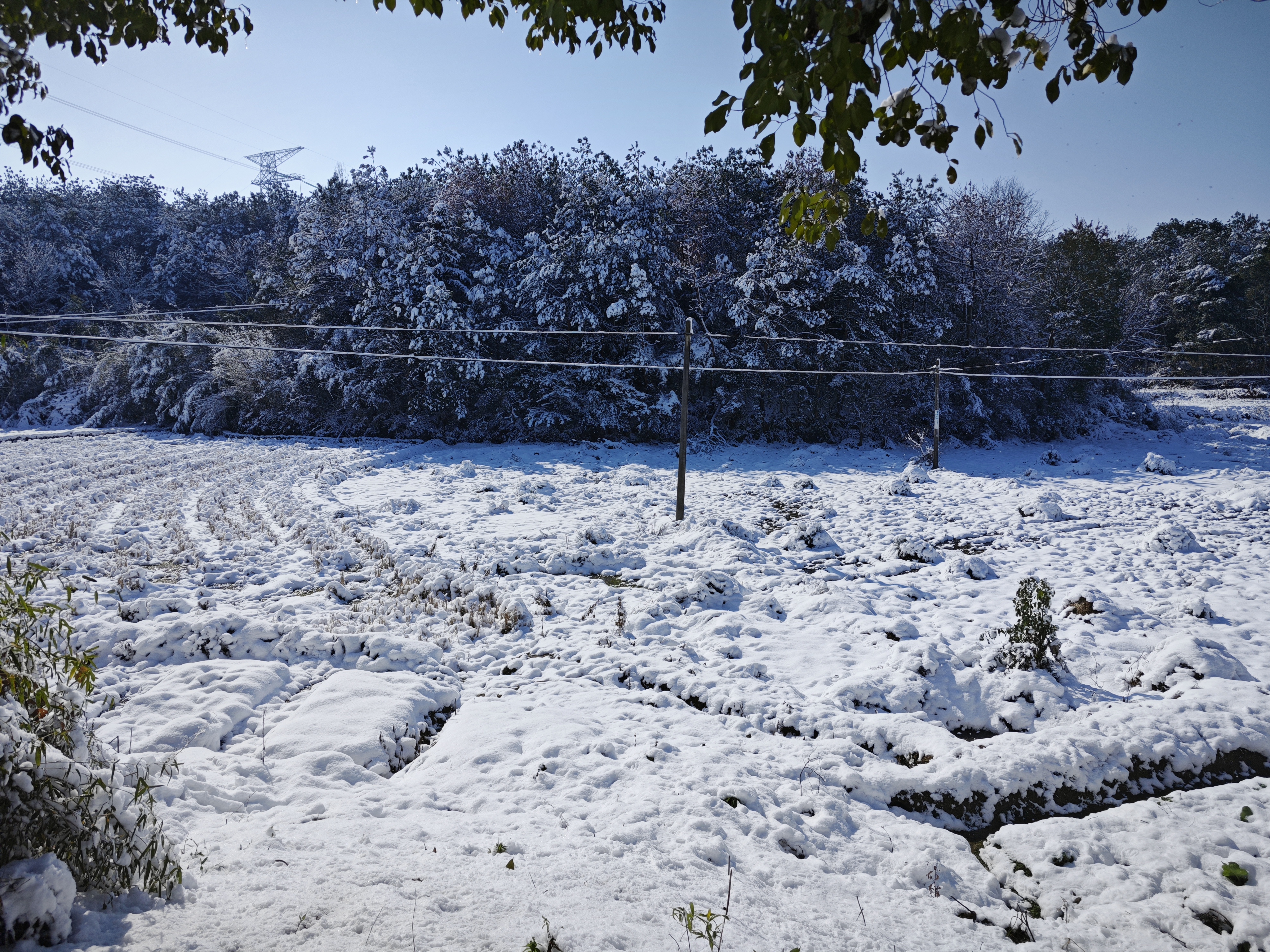 义乌上溪大草坪下雪图片