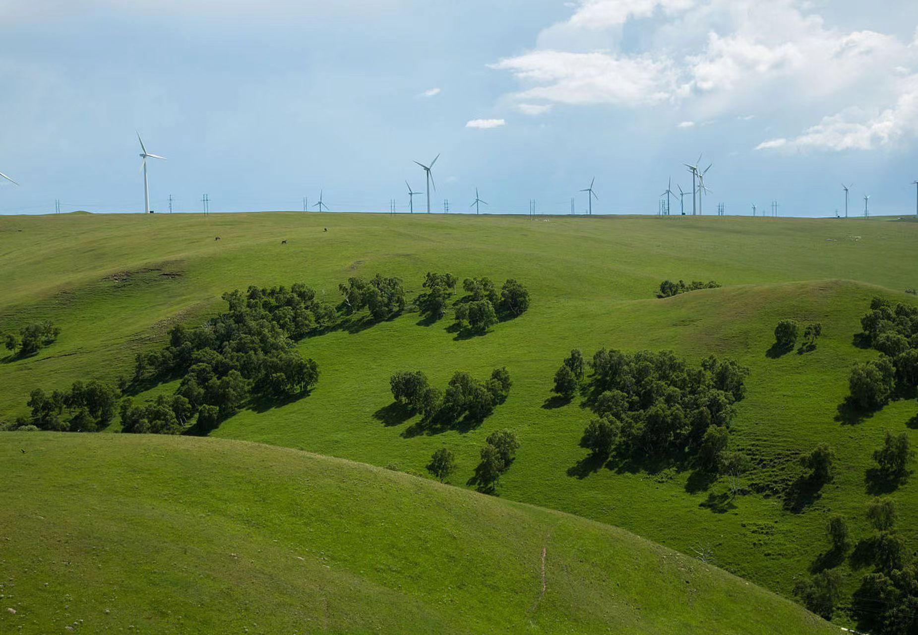今天给大家带来的是河北张北草原的游玩攻略,准备好跟我一起出发了