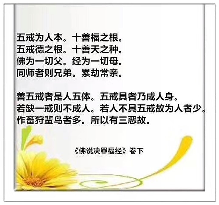 戒的功德利益佛说人的性欲如何产生的儒家文诗,哲学,道家,佛家佛有四