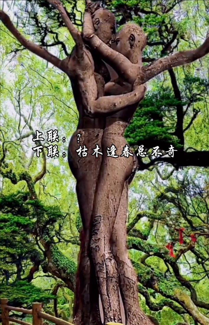 (平平仄仄平平仄) 下联:枯木逢春总不奇(仄仄平平仄仄平) #舞文弄墨悟
