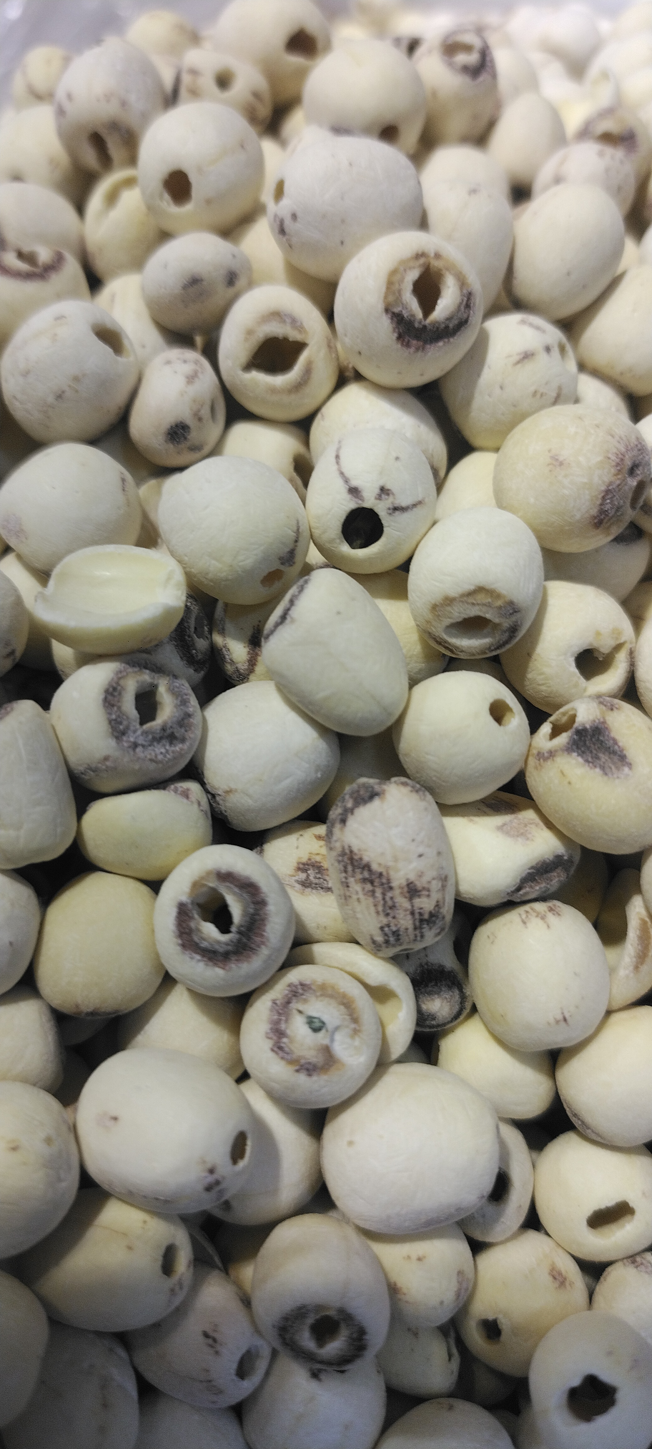 药材的故事(15)莲子的传说故事  美丽的东西往往离不开美丽的故事