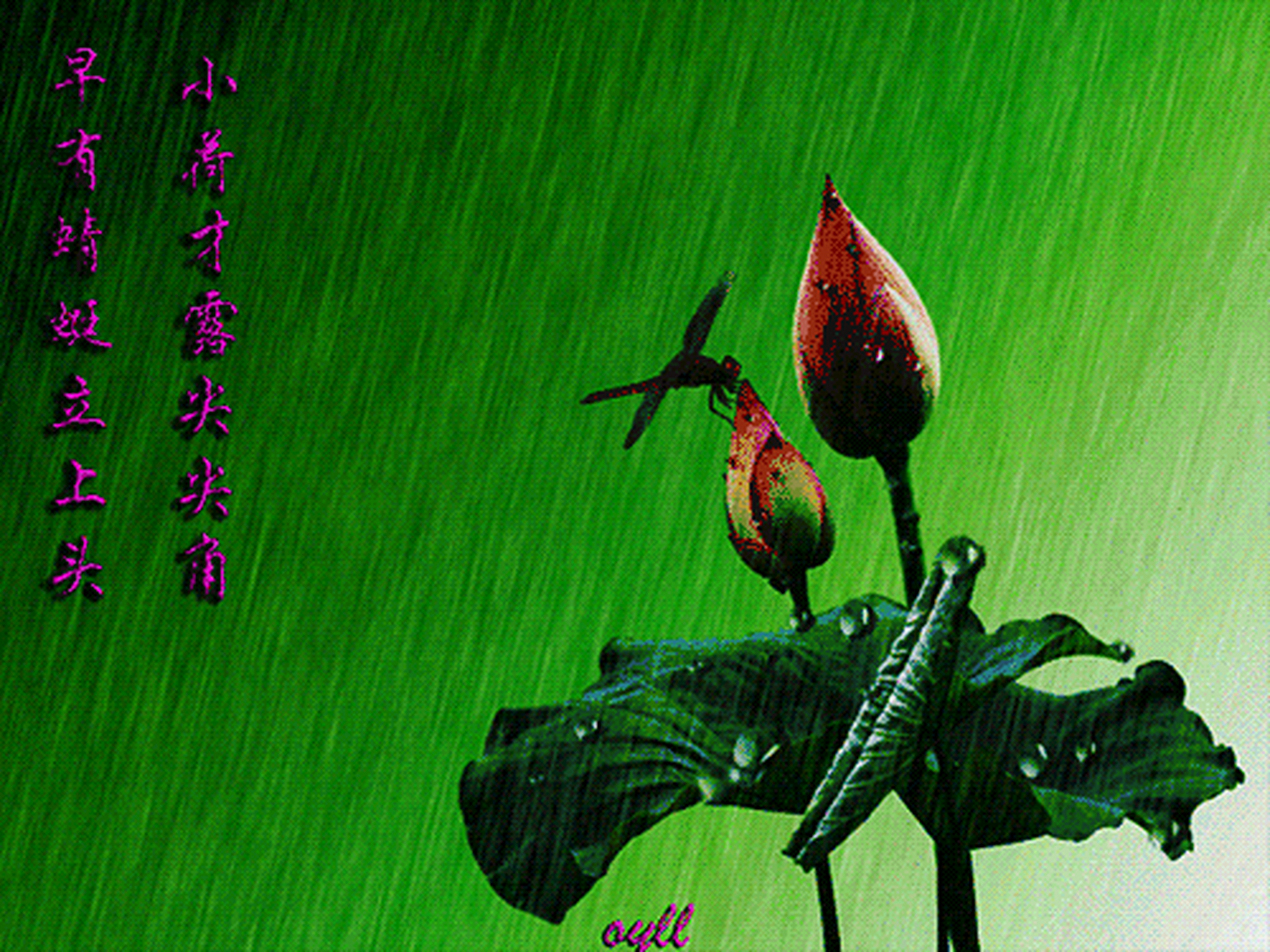 初夏的雨 0202020202 初夏的雨 是灵动的 滴滴答答的雨声