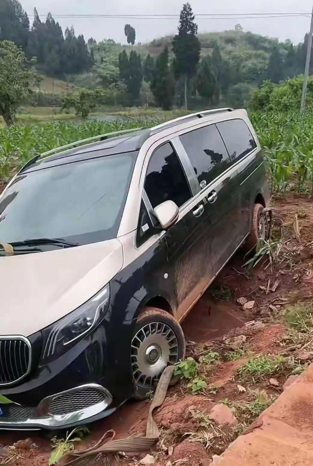 今天去田里种地,看到这一幕.不知道谁家车开到我家地里去了?