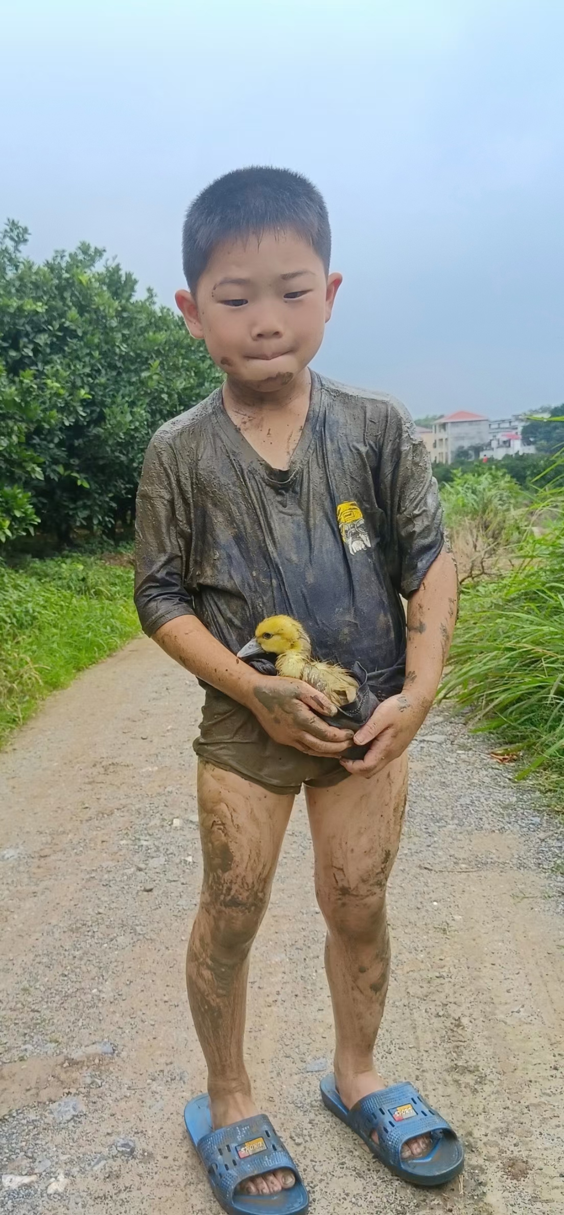 农村小男孩游泳正面照图片