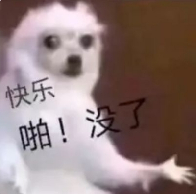 熊猫的脑袋瓜子嗡嗡的. 动物表情包