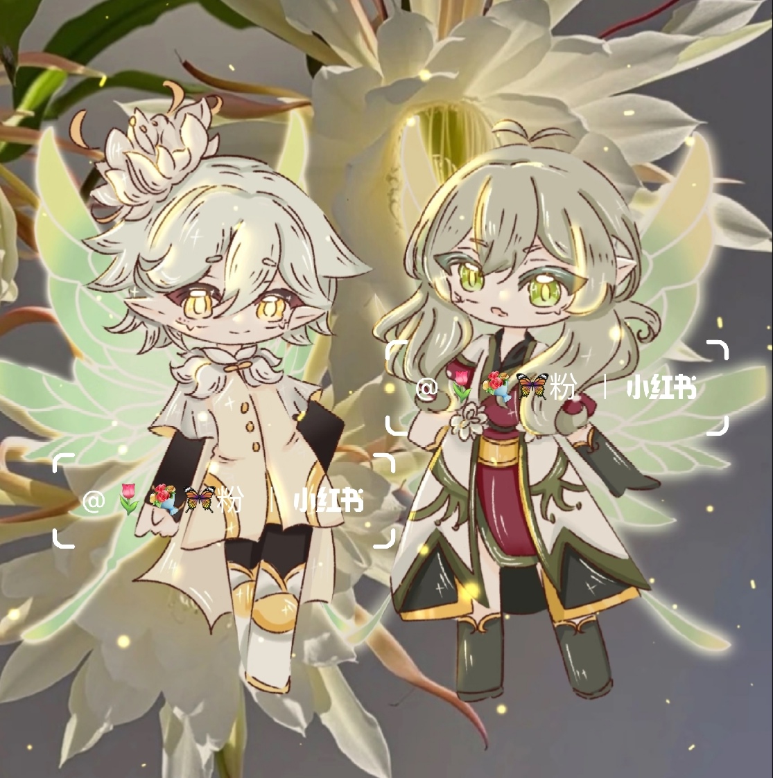 小花仙昙花精灵王一一夜华