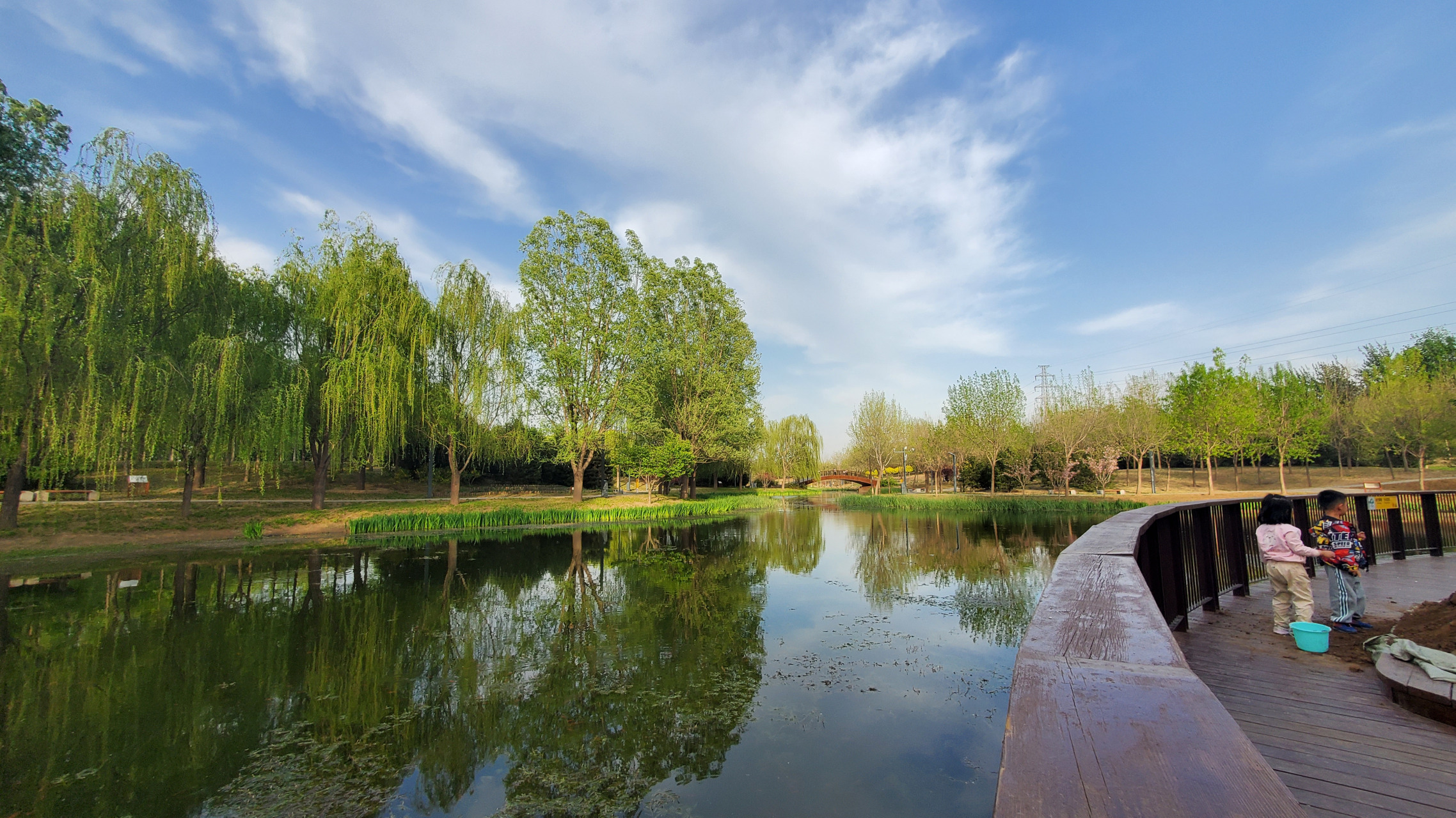 东郊森林湿地公园图片