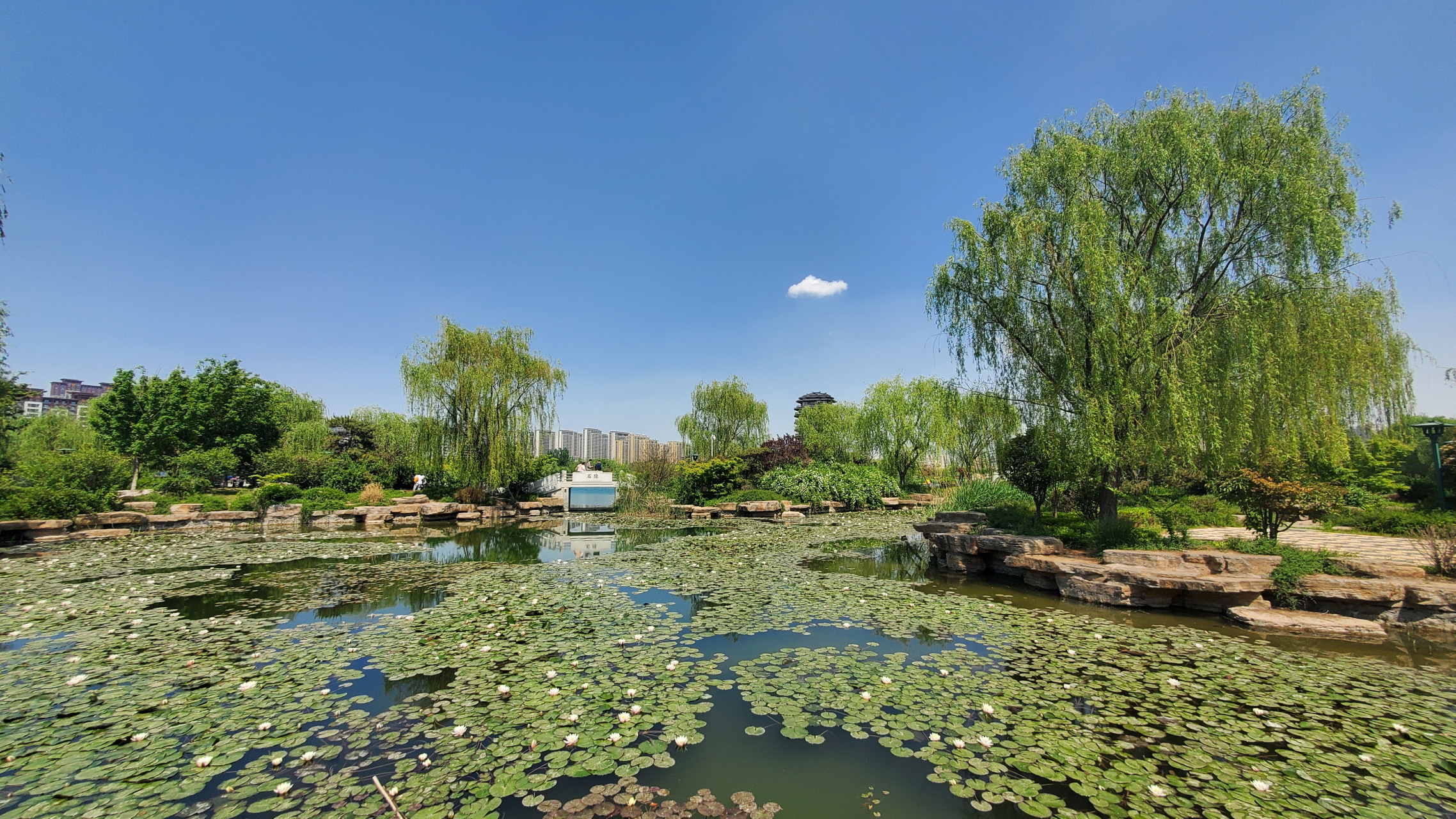 北京齐物潭公园图片