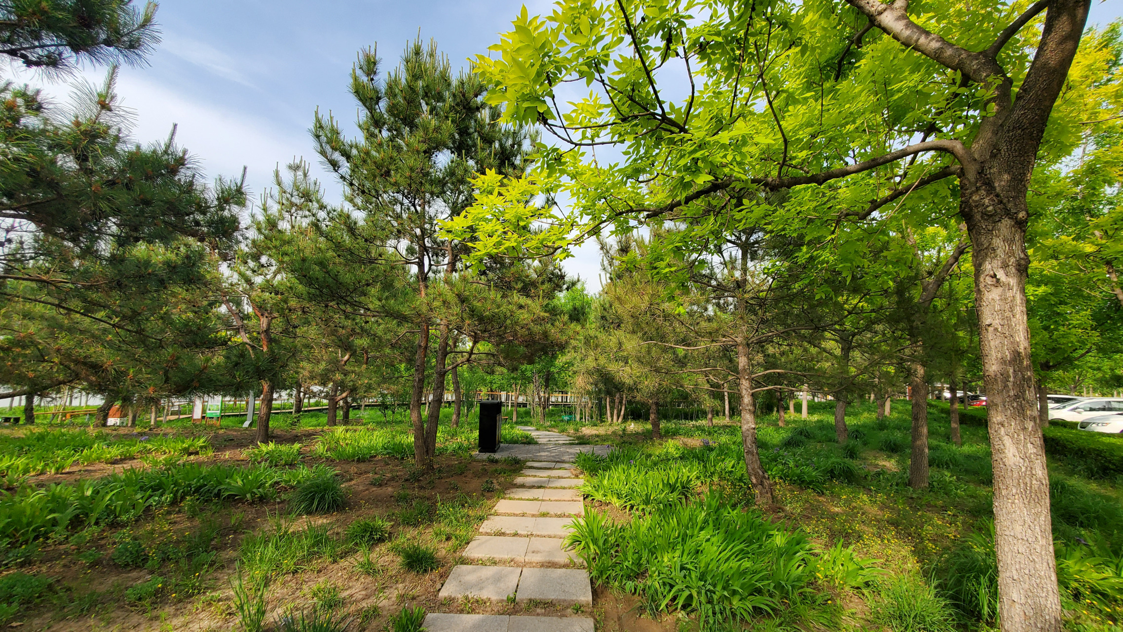 东郊湿地公园图片