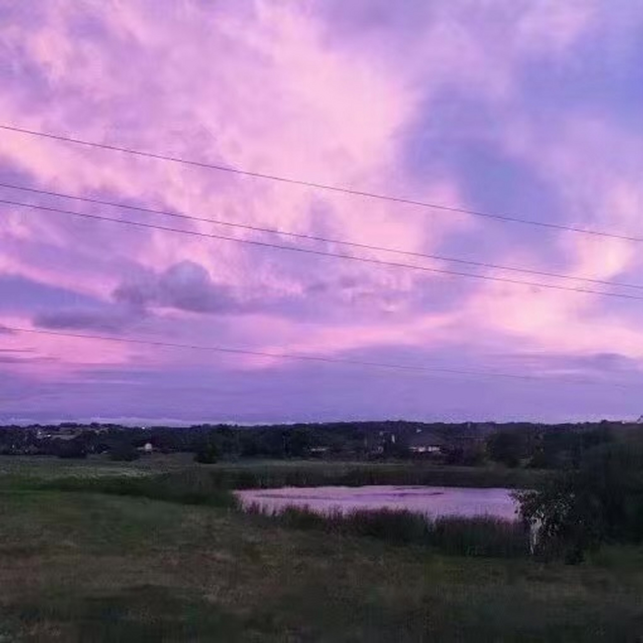 《听说你爱我》张敬尧 苏然 温桓  全文全章节 静谧的夜晚.