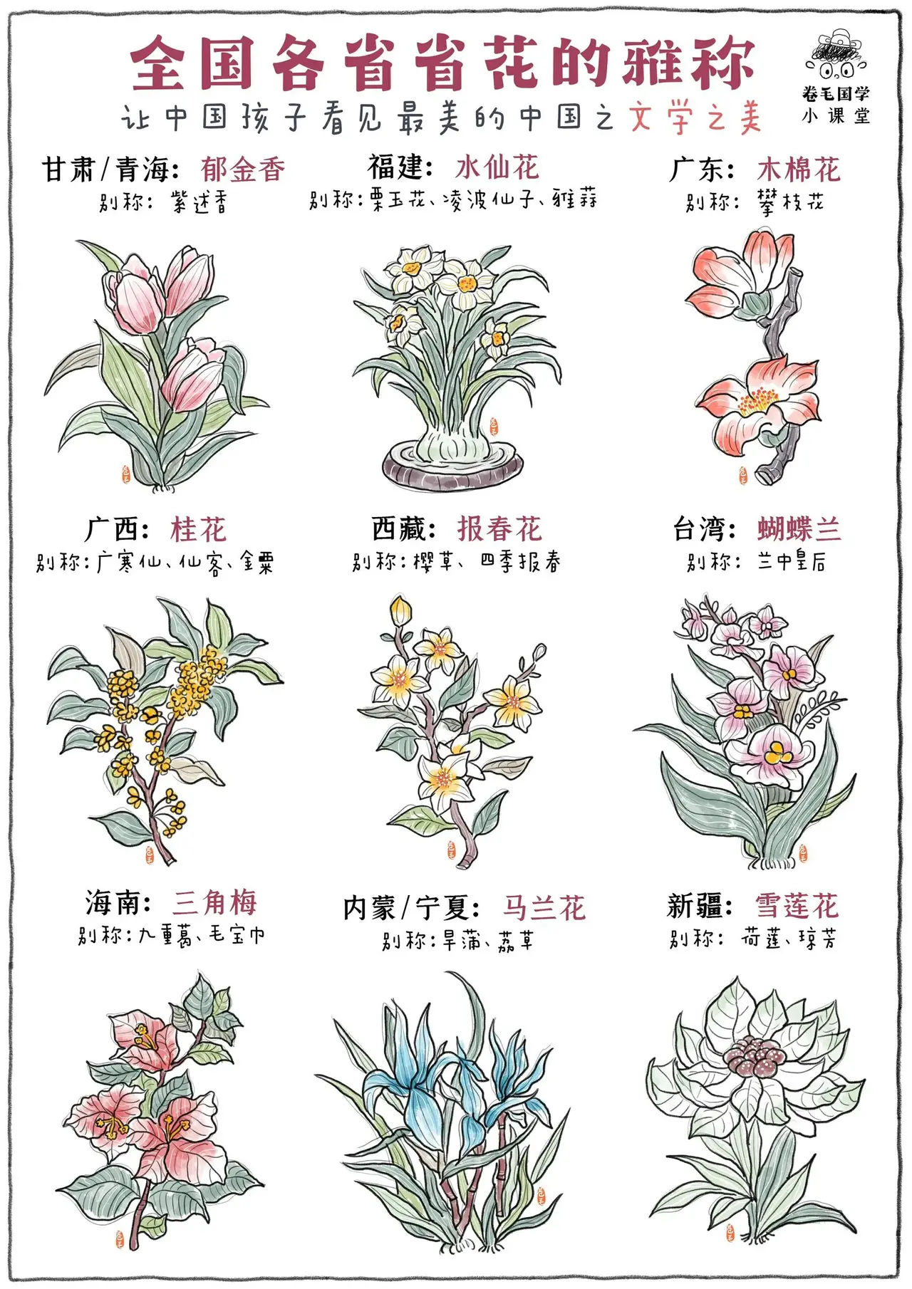 传统文化   我要上热门  认识花花世界