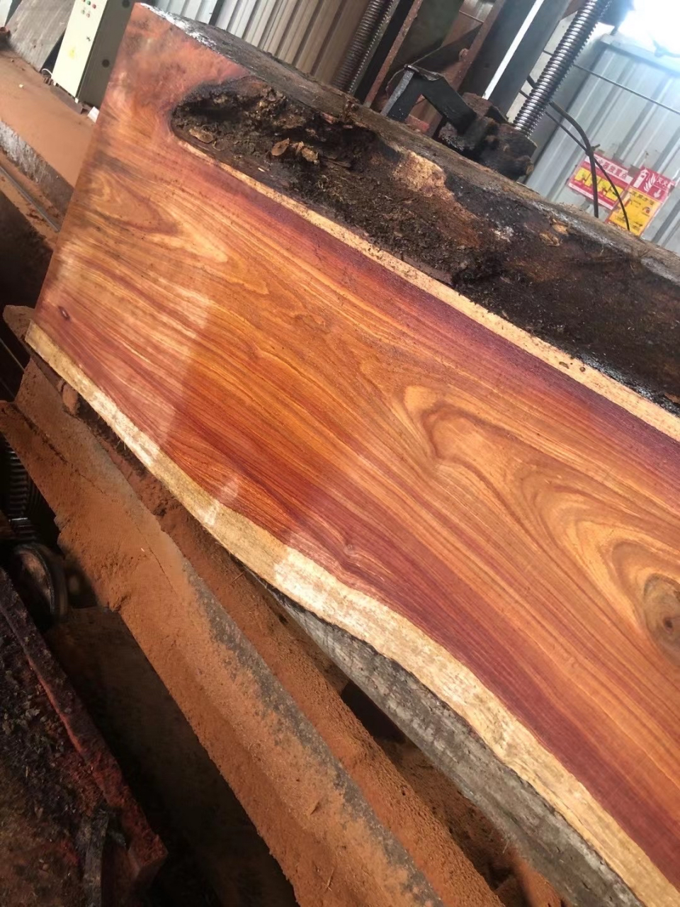 大果紫檀,泰国缅花,泰国花梨