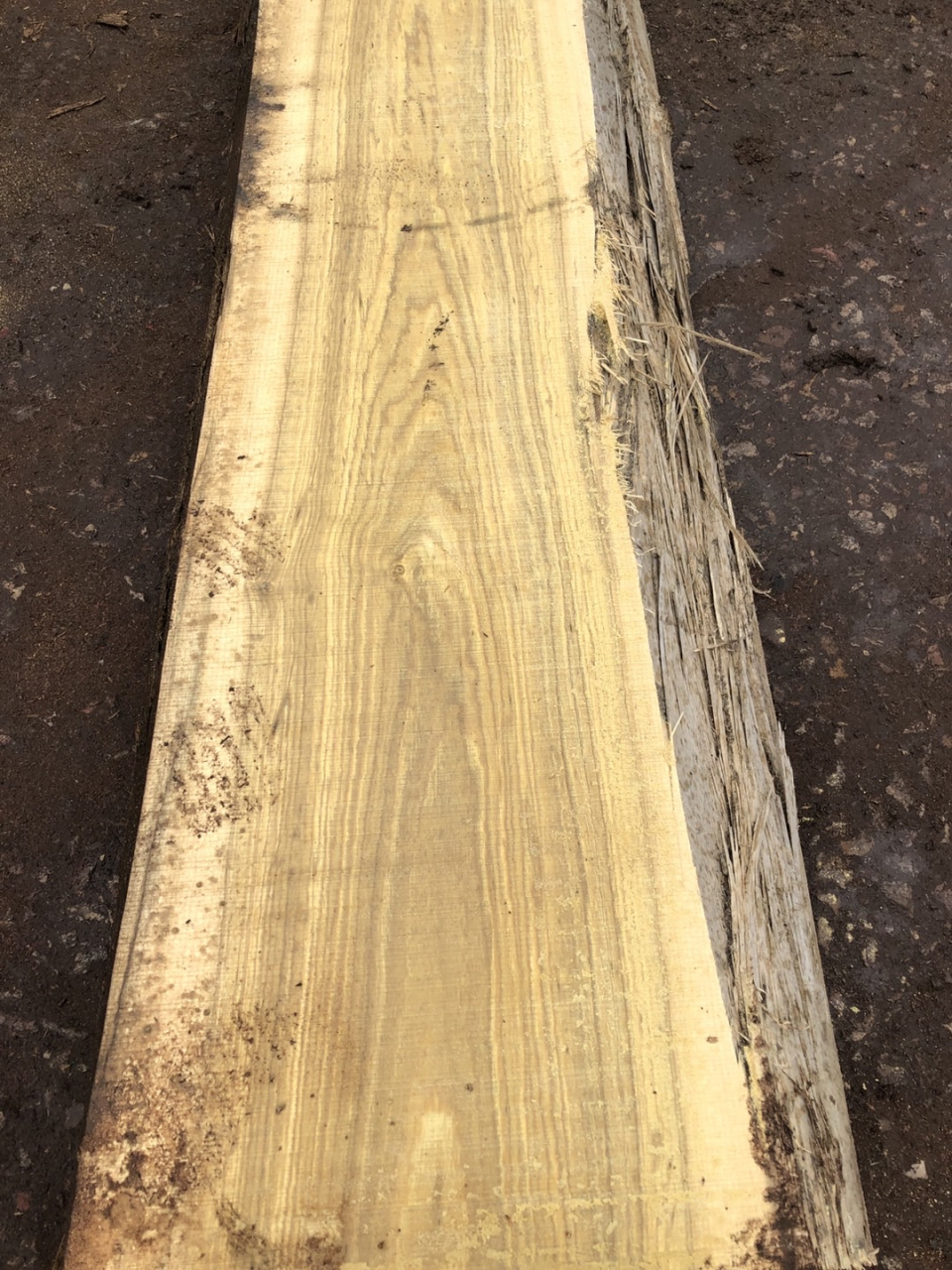 南洋金丝楠,黄心楠,稳定性好,有香味, #家居装修