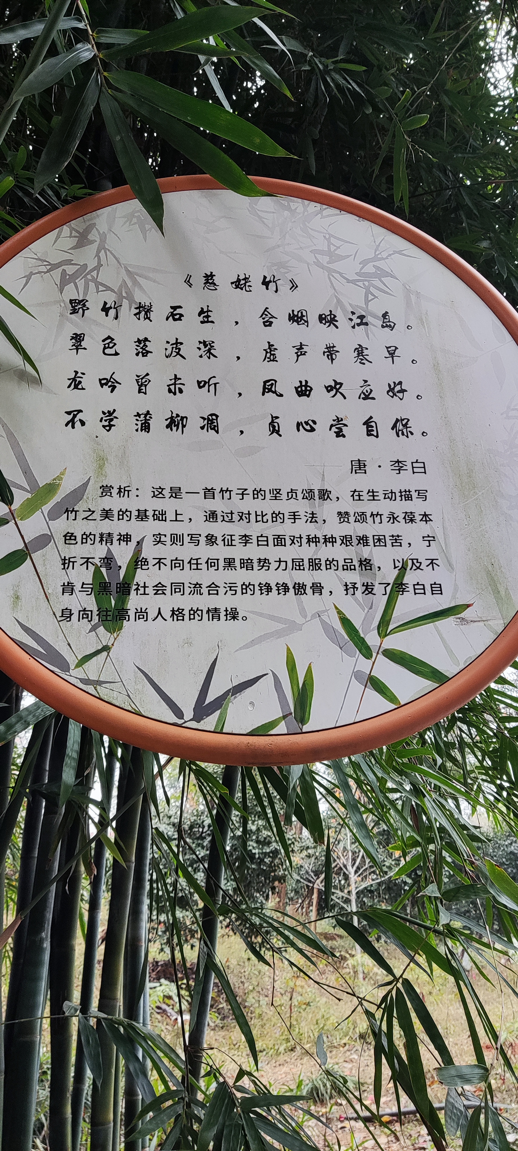 赞美咏竹的七言诗