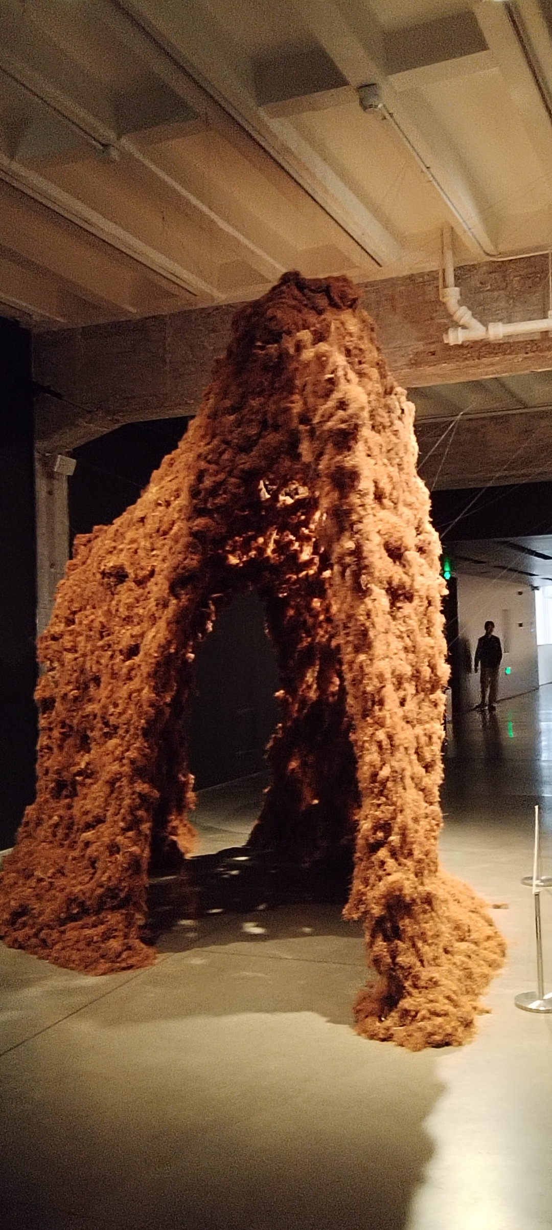 光滑如镜的深色之下,它们似星河落九天,又如远古的