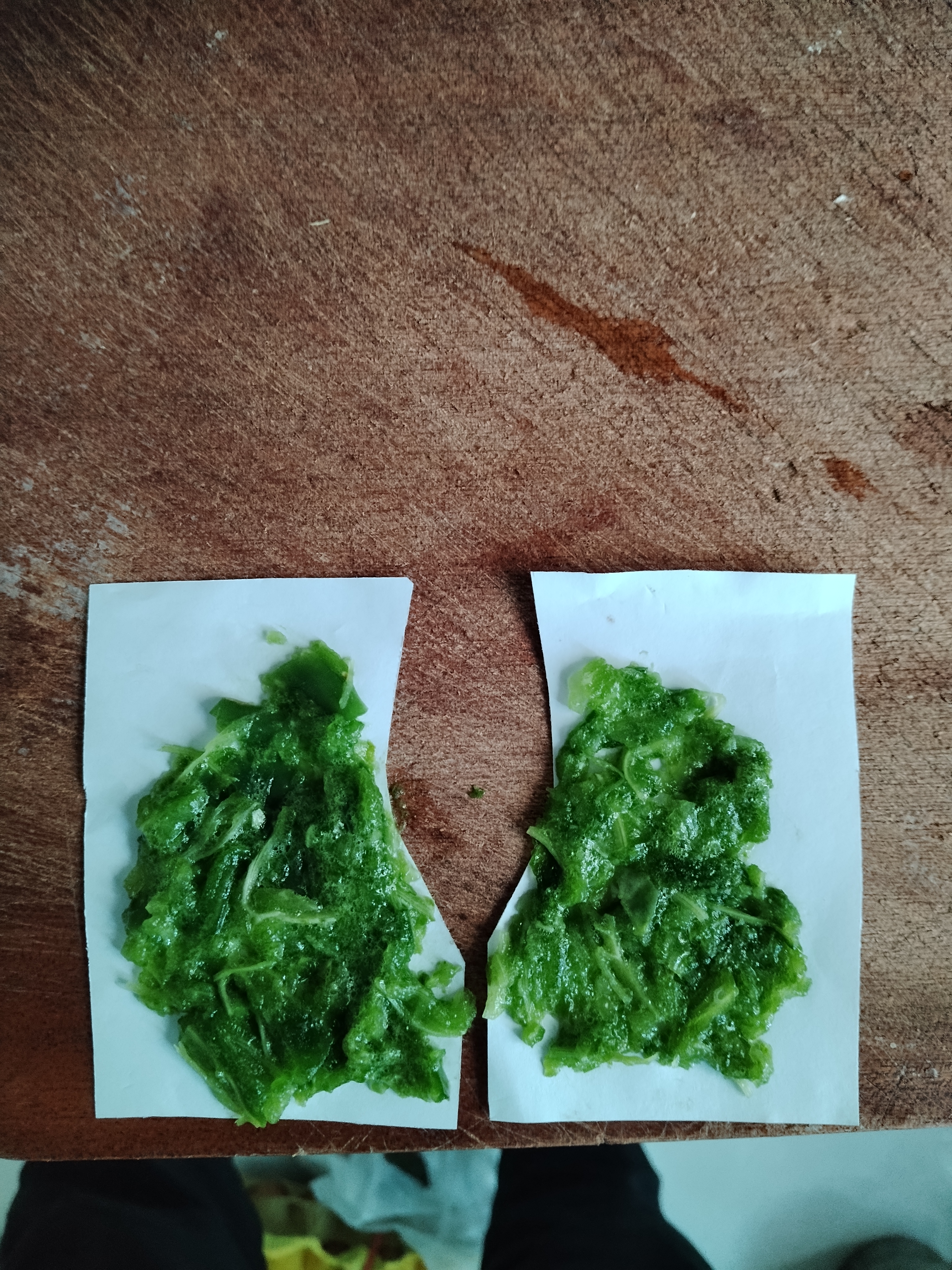 自制的仙人掌敷贴,给孩子治疗腮腺炎,民间流传多年的偏方依然效果良好