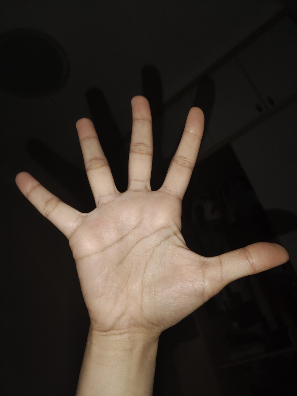 女,手掌,看看事业