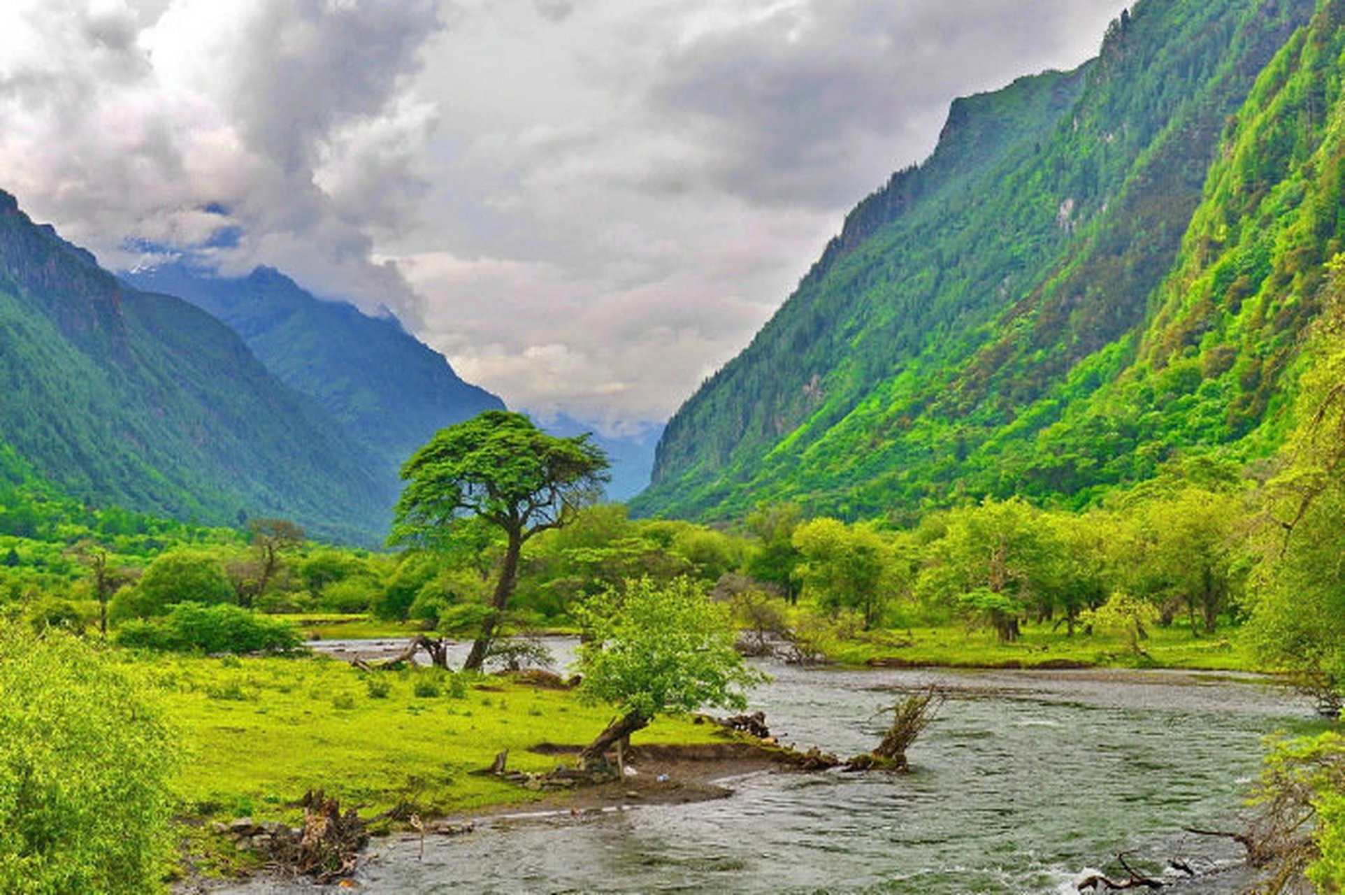 静谧中,几根树干矗立湖中,仿佛在诉说着千年的故事.