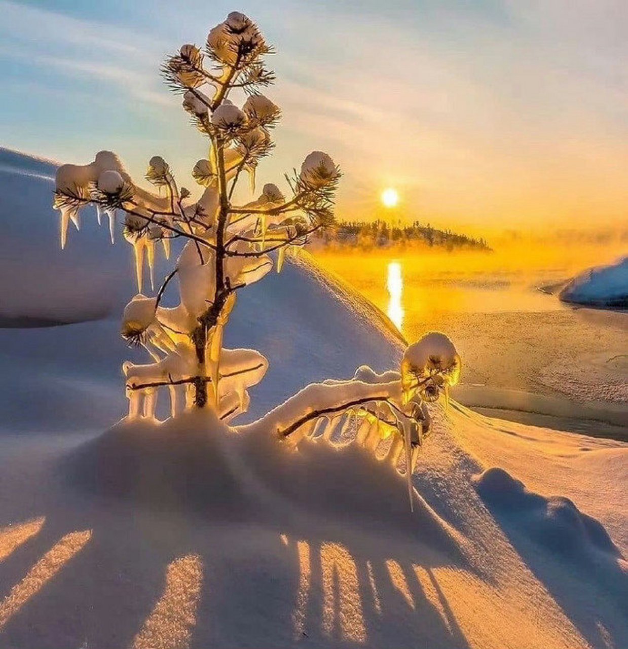 阳光与雪,交织出一幅美丽的画面.