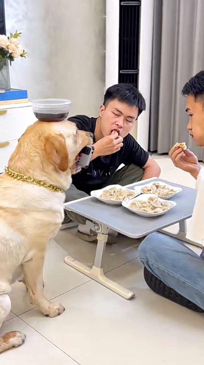 二十分钟了,也不理解下我的辛苦,我不出声,你当我真傻呐,我就做给你看