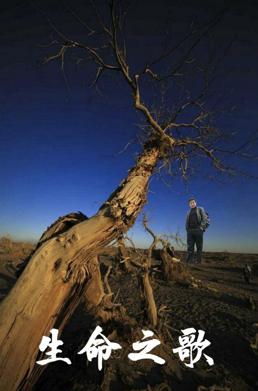 背起行囊 67算不算流浪 67把孤獨遺棄路旁 67把夢想塞得滿滿