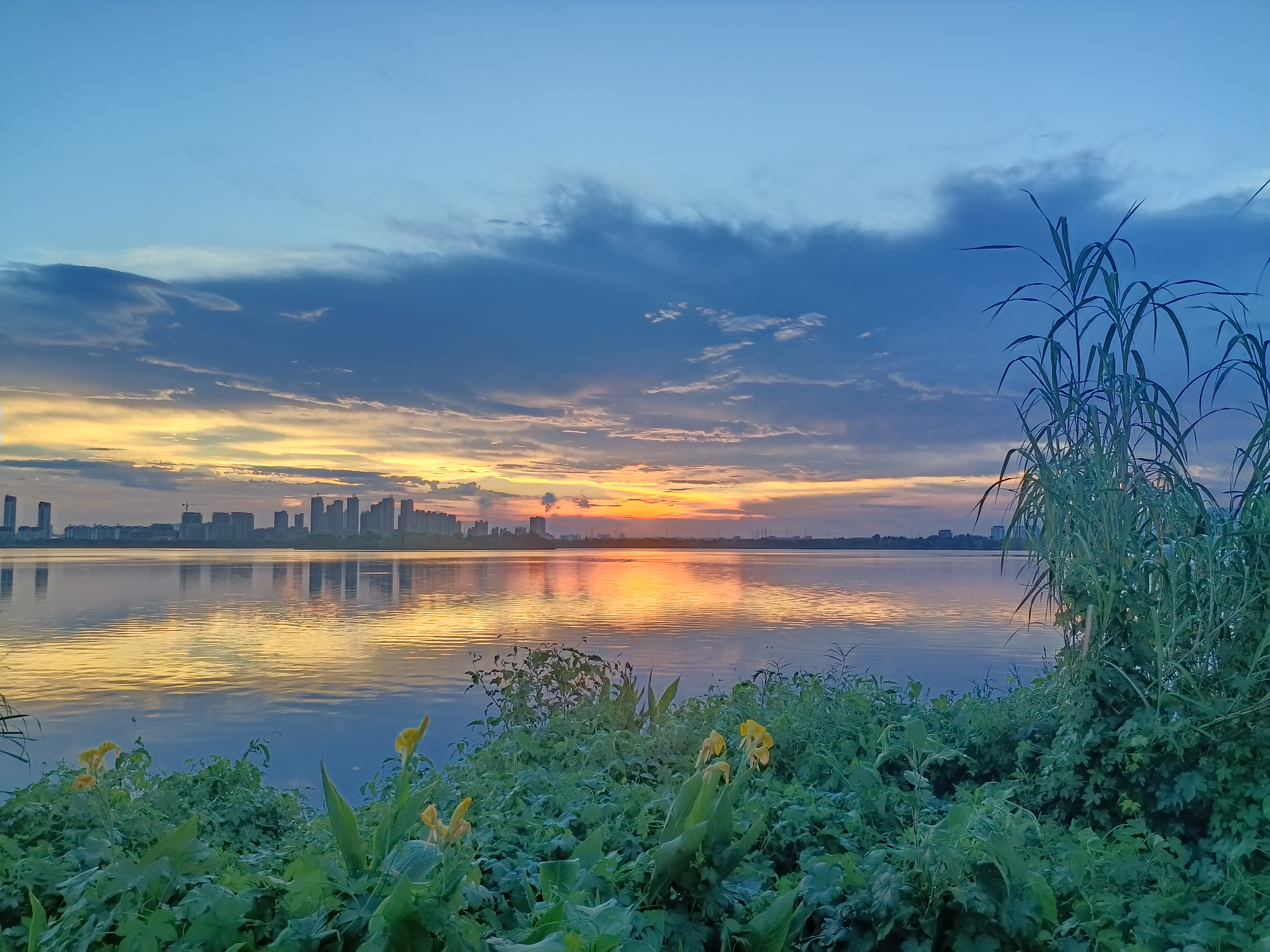 铜陵西湖湿地公园图片