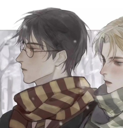 哈利波特与马尔福的cp图